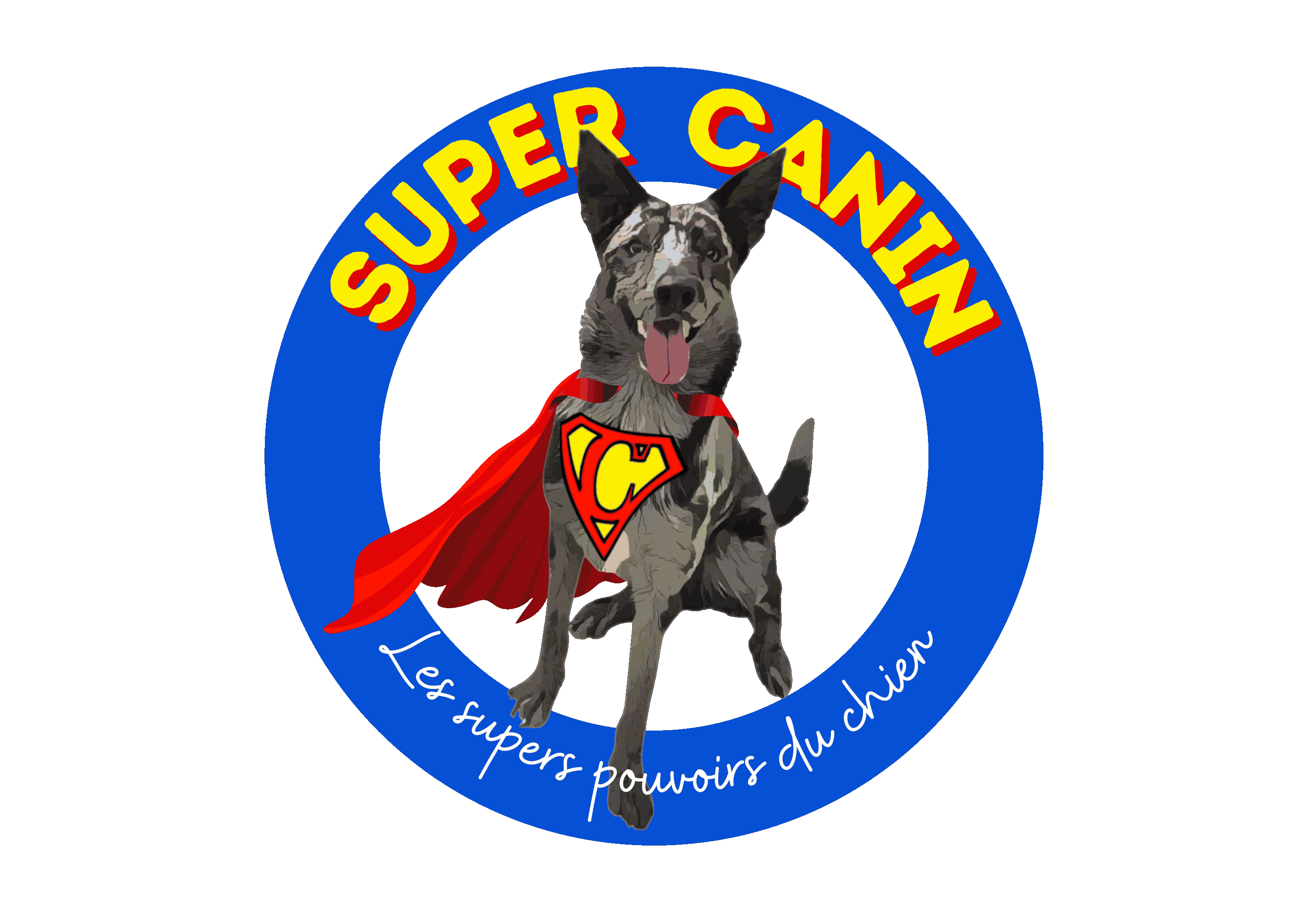 Super-Canin, votre partenaire pour une relation harmonieuse avec votre chien !